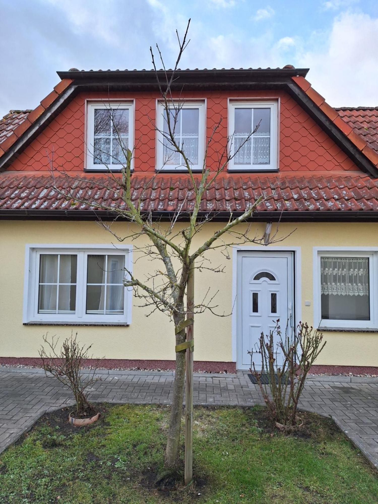 Emma Leilighet Greifswald Eksteriør bilde